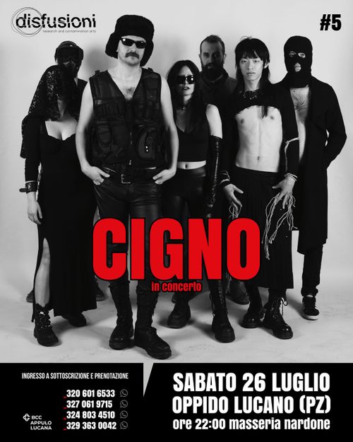 Cigno in Concerto